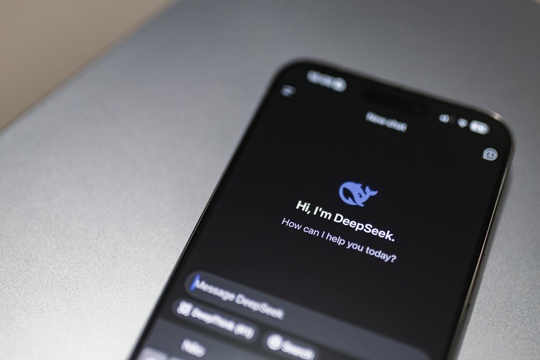 WPS Office 官方支持界面展示